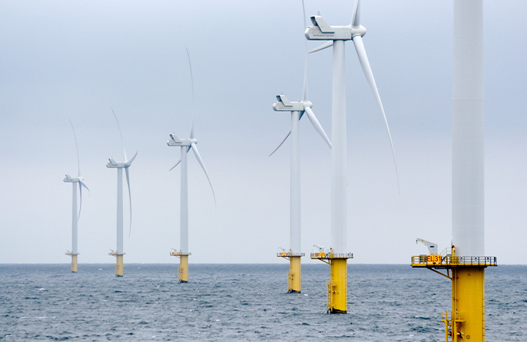 ルフタダウネン洋上風力発電所（オランダ）
